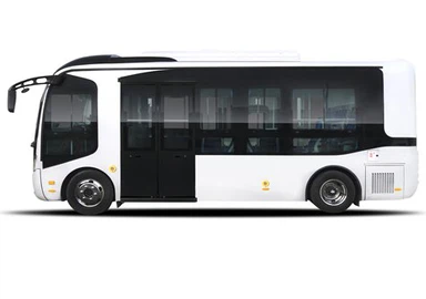 JS6690GHBEV Electric City Bus